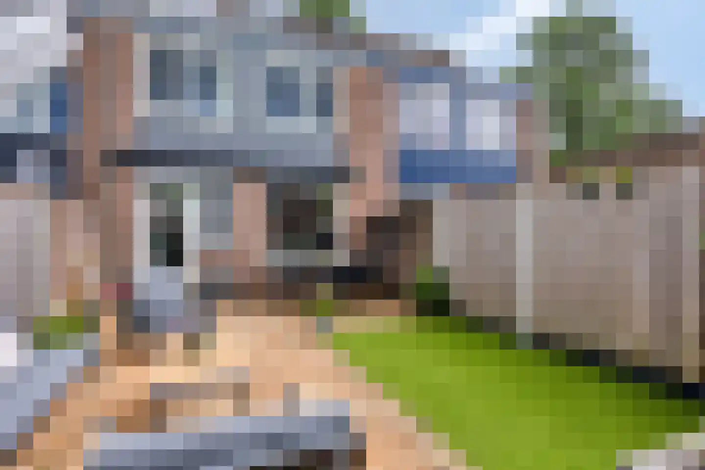 Zeezwaluw 3 Veenendaal thumbnail 23