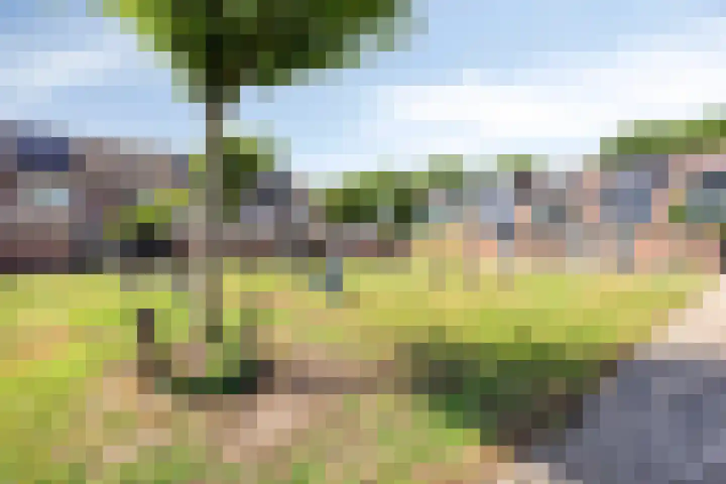 Zeezwaluw 3 Veenendaal thumbnail 24