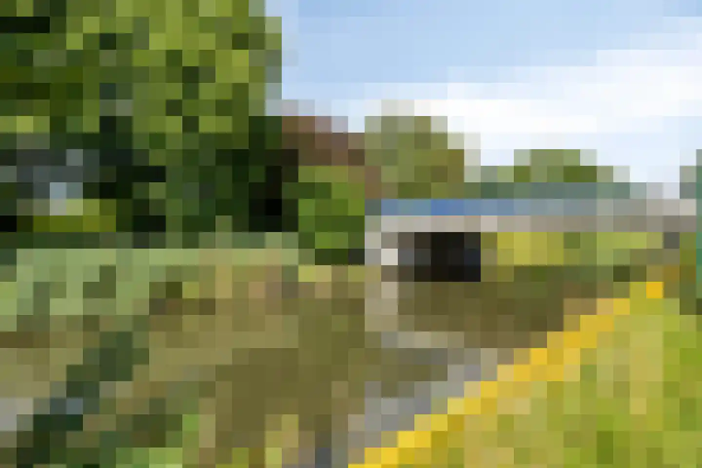 Zeezwaluw 3 Veenendaal thumbnail 25