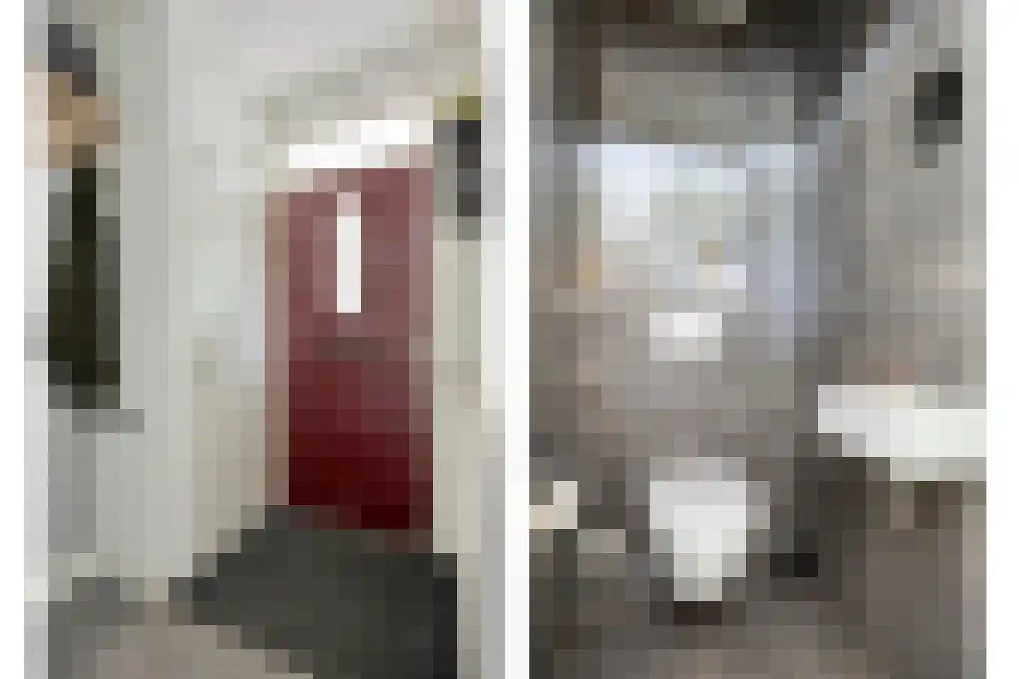 Zeezwaluw 3 Veenendaal thumbnail 5
