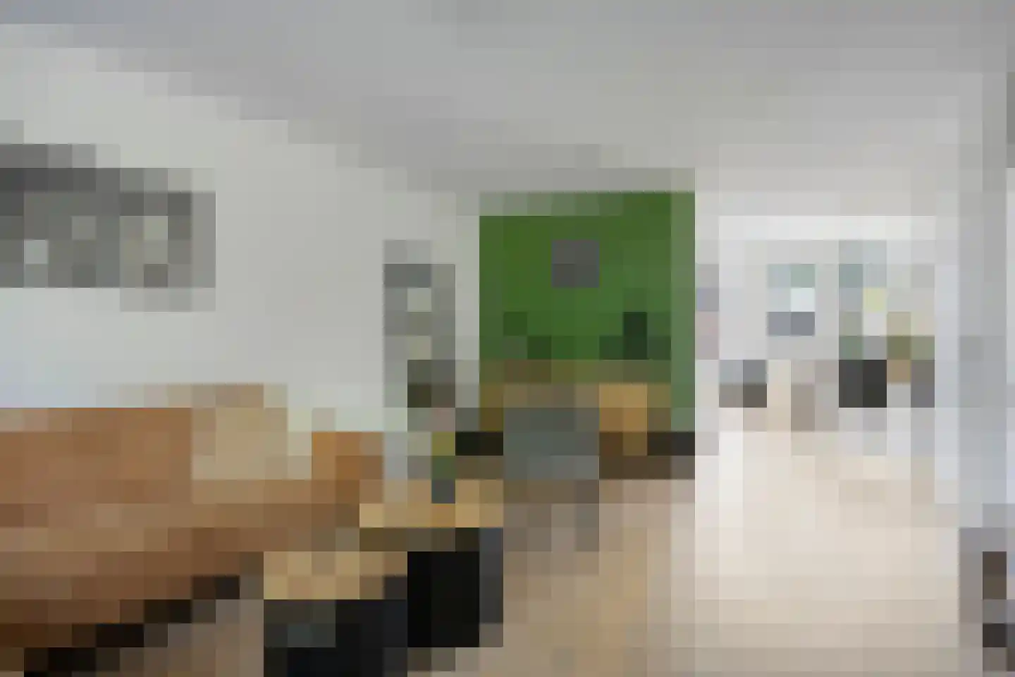 Zeezwaluw 3 Veenendaal thumbnail 6