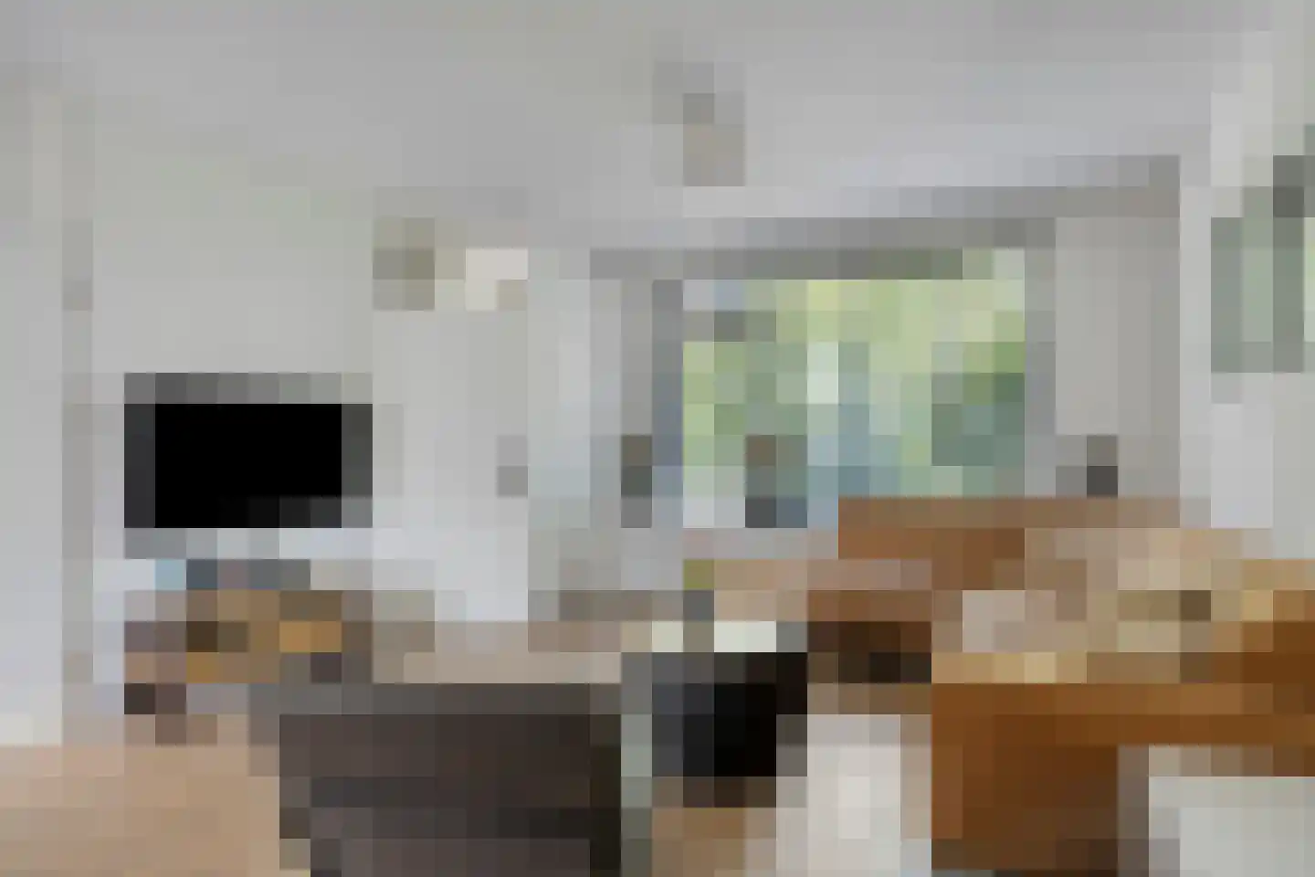 Zeezwaluw 3 Veenendaal thumbnail 8