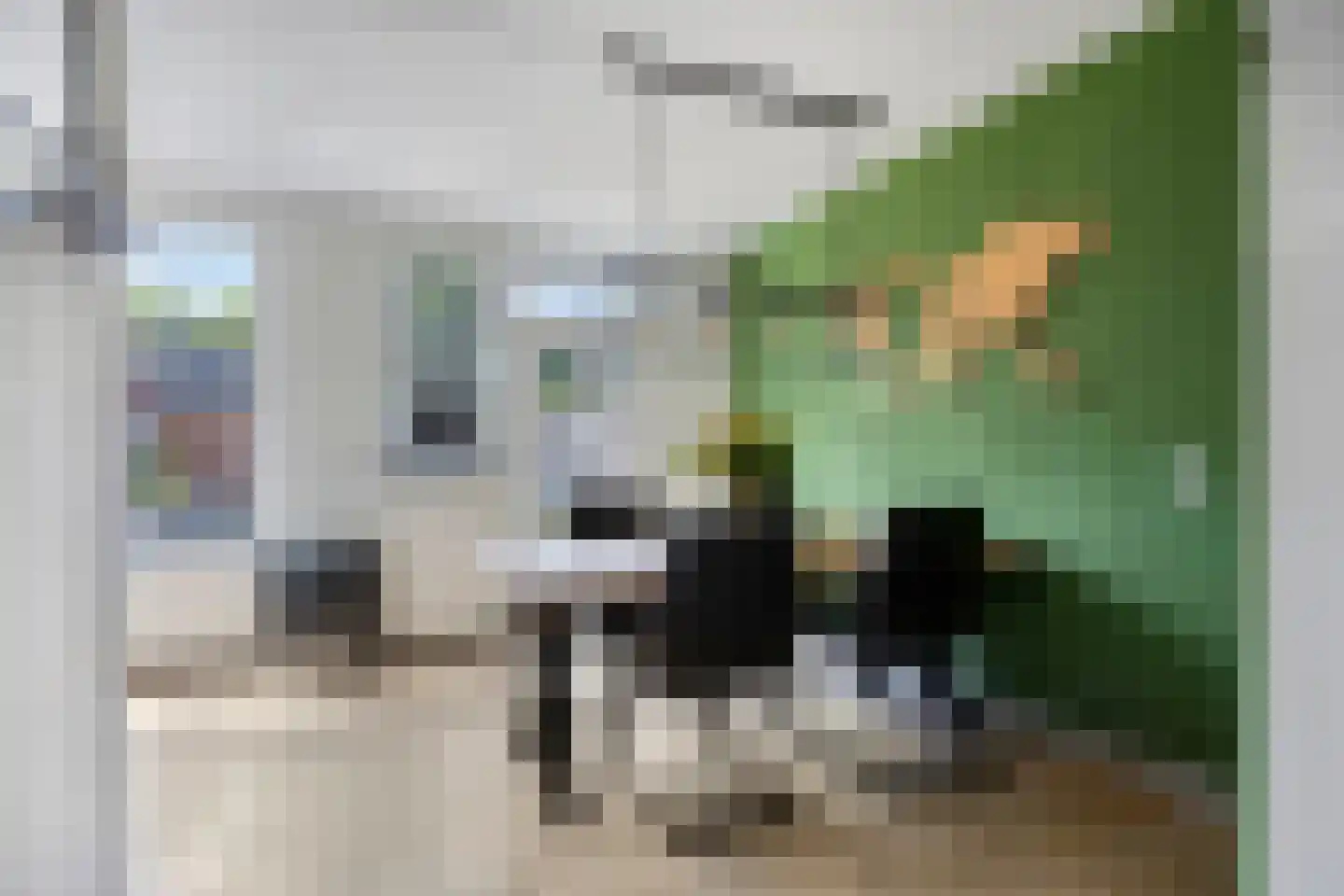 Zeezwaluw 3 Veenendaal thumbnail 9