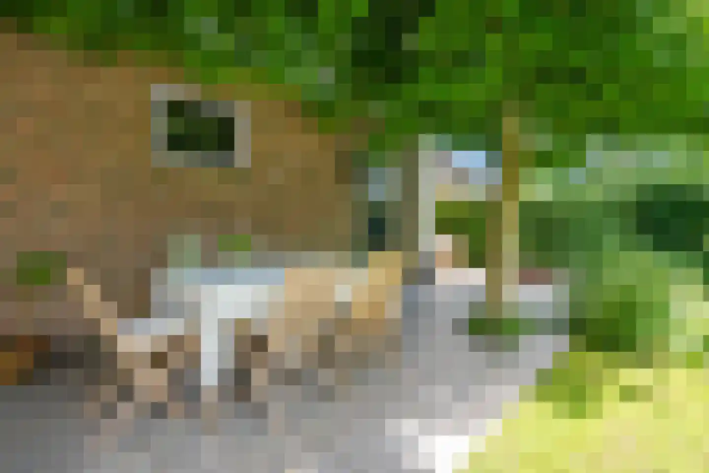 Zegelaarweg 14 Loenen aan de Vecht thumbnail 40