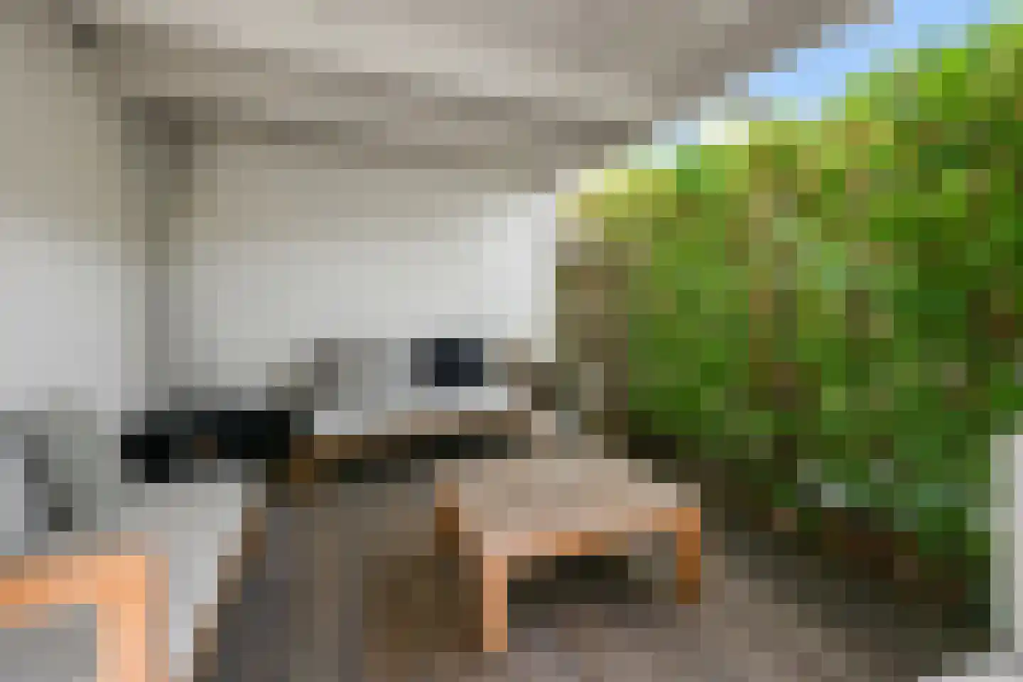 Zegelaarweg 14 Loenen aan de Vecht thumbnail 41