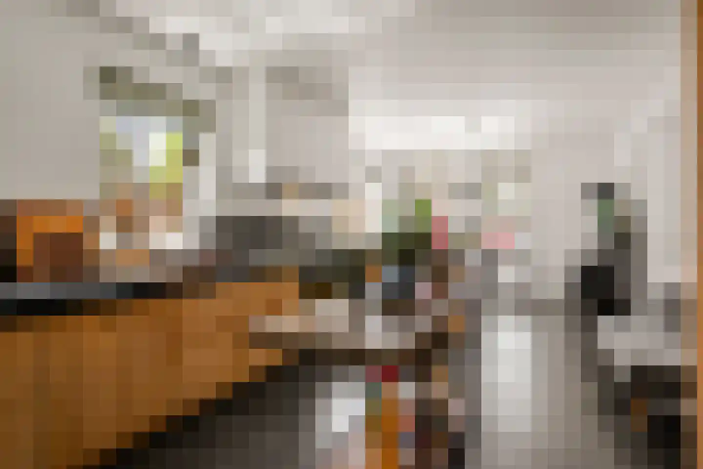 Zegelaarweg 14 Loenen aan de Vecht thumbnail 6