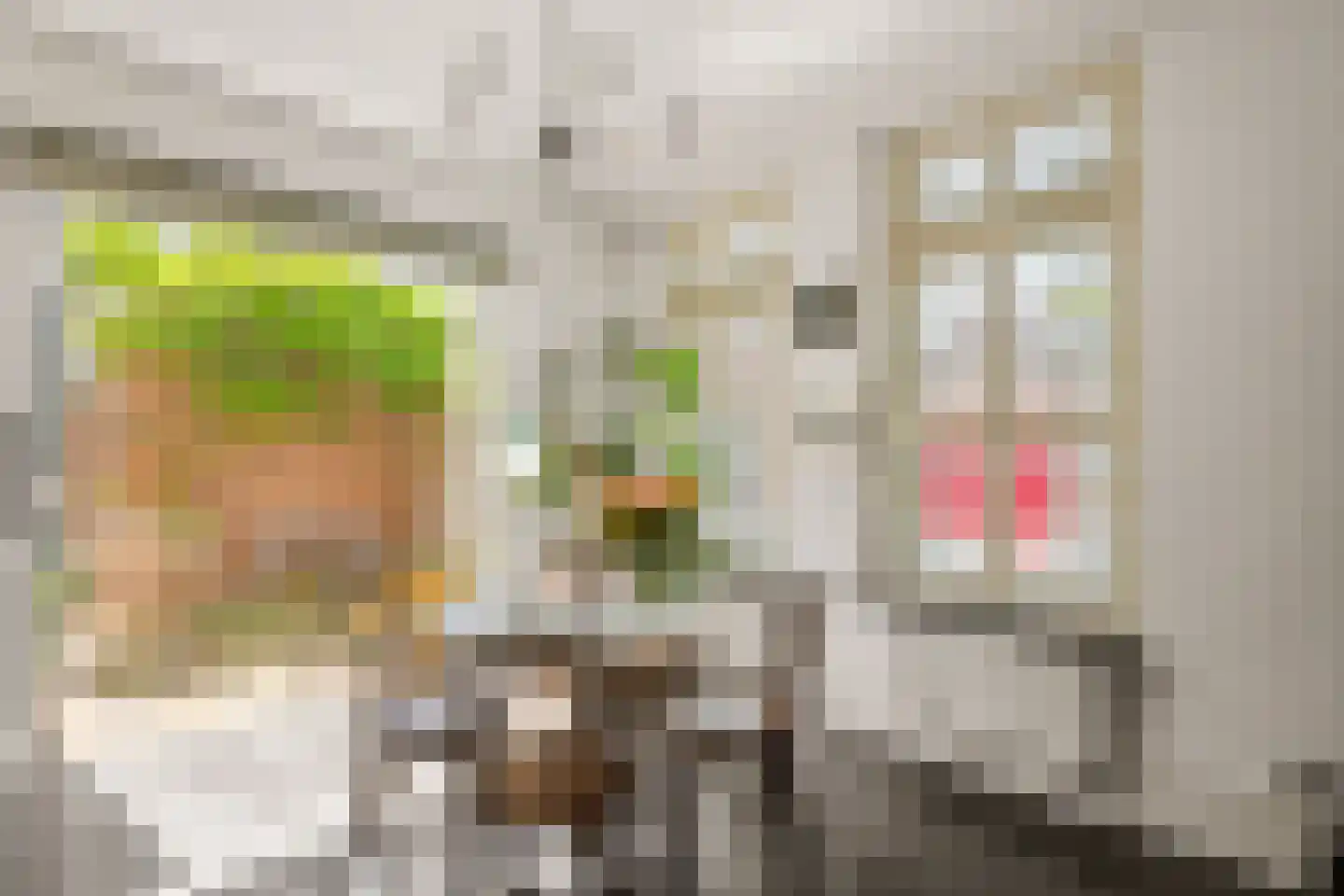 Zegelaarweg 14 Loenen aan de Vecht thumbnail 7