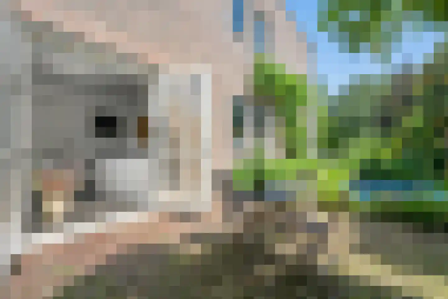 Zegelaarweg 14 Loenen aan de Vecht thumbnail 8