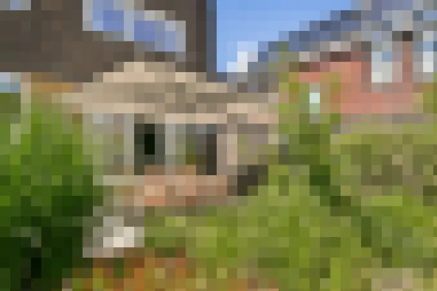 Zegelaarweg 18 Loenen aan de Vecht thumbnail 32
