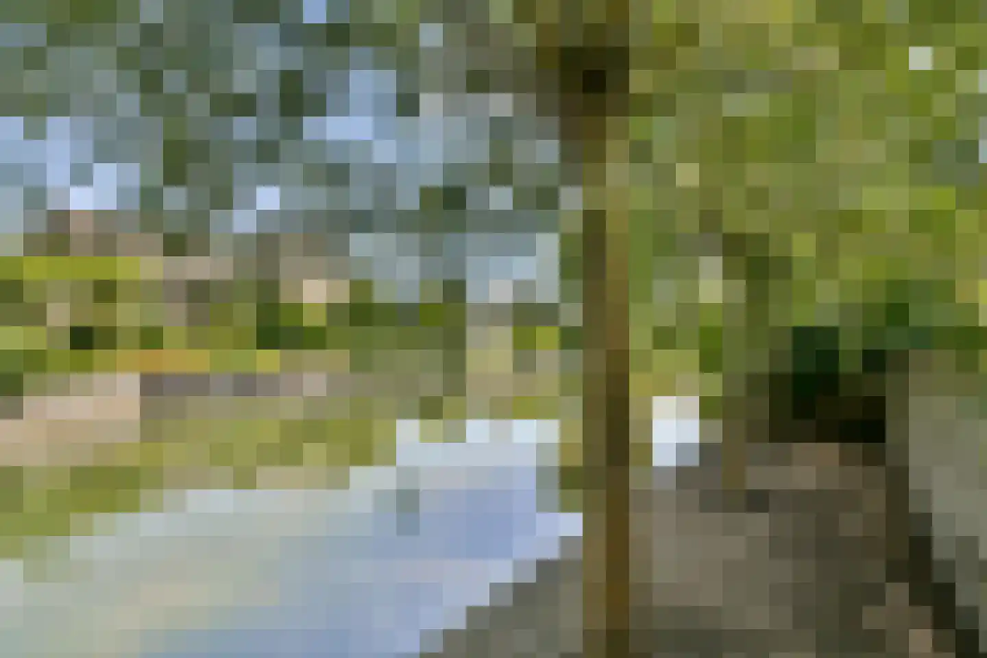 Zegelaarweg 18 Loenen aan de Vecht thumbnail 33