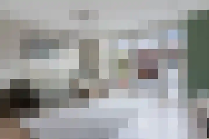 Zegelvlinderstraat 4 Gouda thumbnail 11