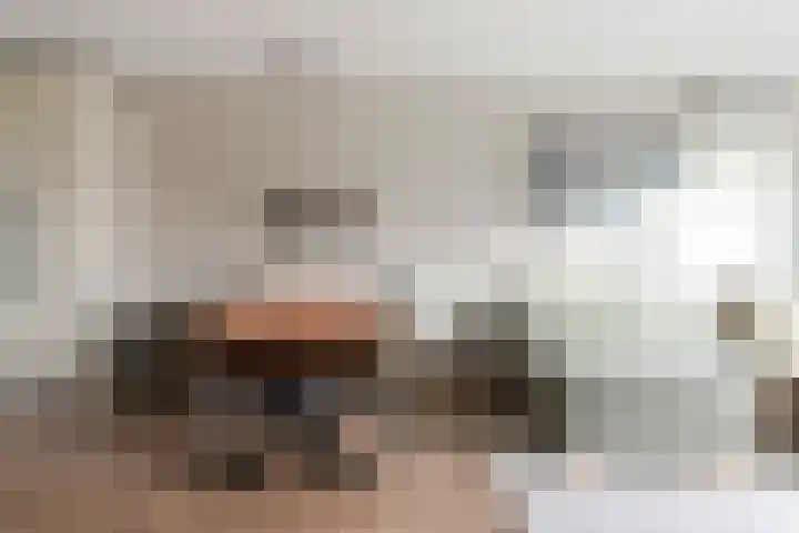 Zegelvlinderstraat 4 Gouda thumbnail 18