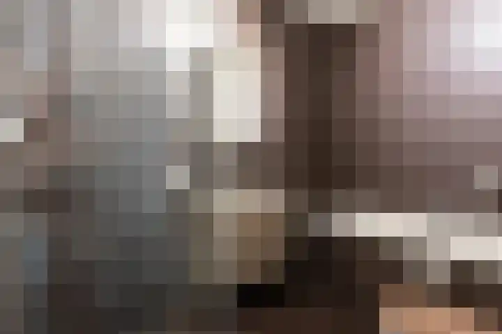 Zegelvlinderstraat 4 Gouda thumbnail 34