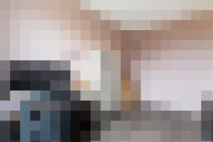 Zegelvlinderstraat 4 Gouda thumbnail 38