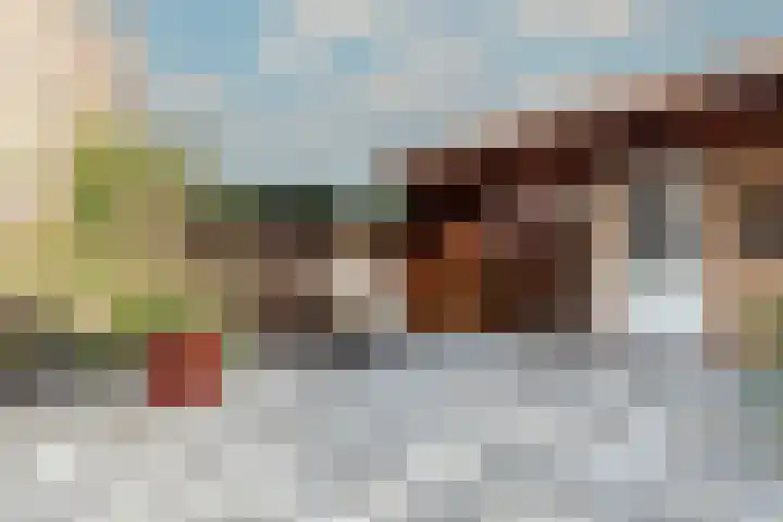 Zegelvlinderstraat 4 Gouda thumbnail 4