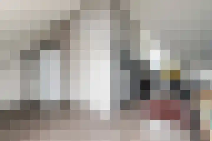 Zegelvlinderstraat 4 Gouda thumbnail 42