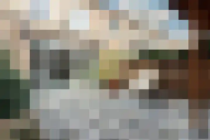 Zegelvlinderstraat 4 Gouda thumbnail 48