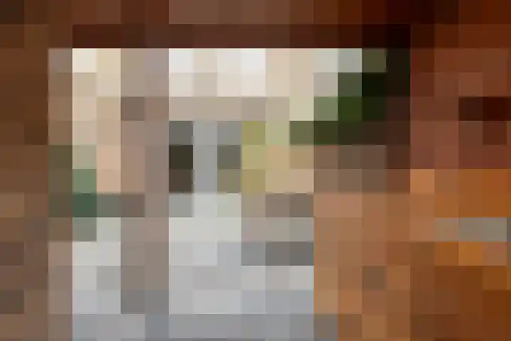 Zegelvlinderstraat 4 Gouda thumbnail 52