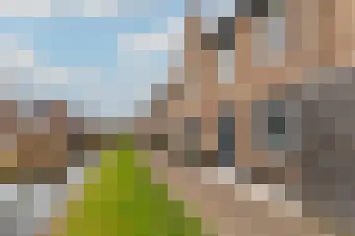 Zegelvlinderstraat 4 Gouda thumbnail 6