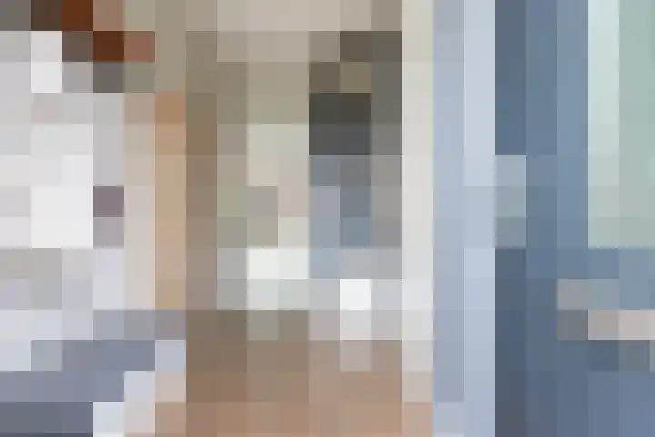 Zegelvlinderstraat 4 Gouda thumbnail 8