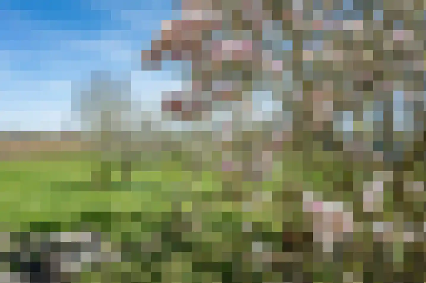 Zegendijk 13 Zieuwent thumbnail 54