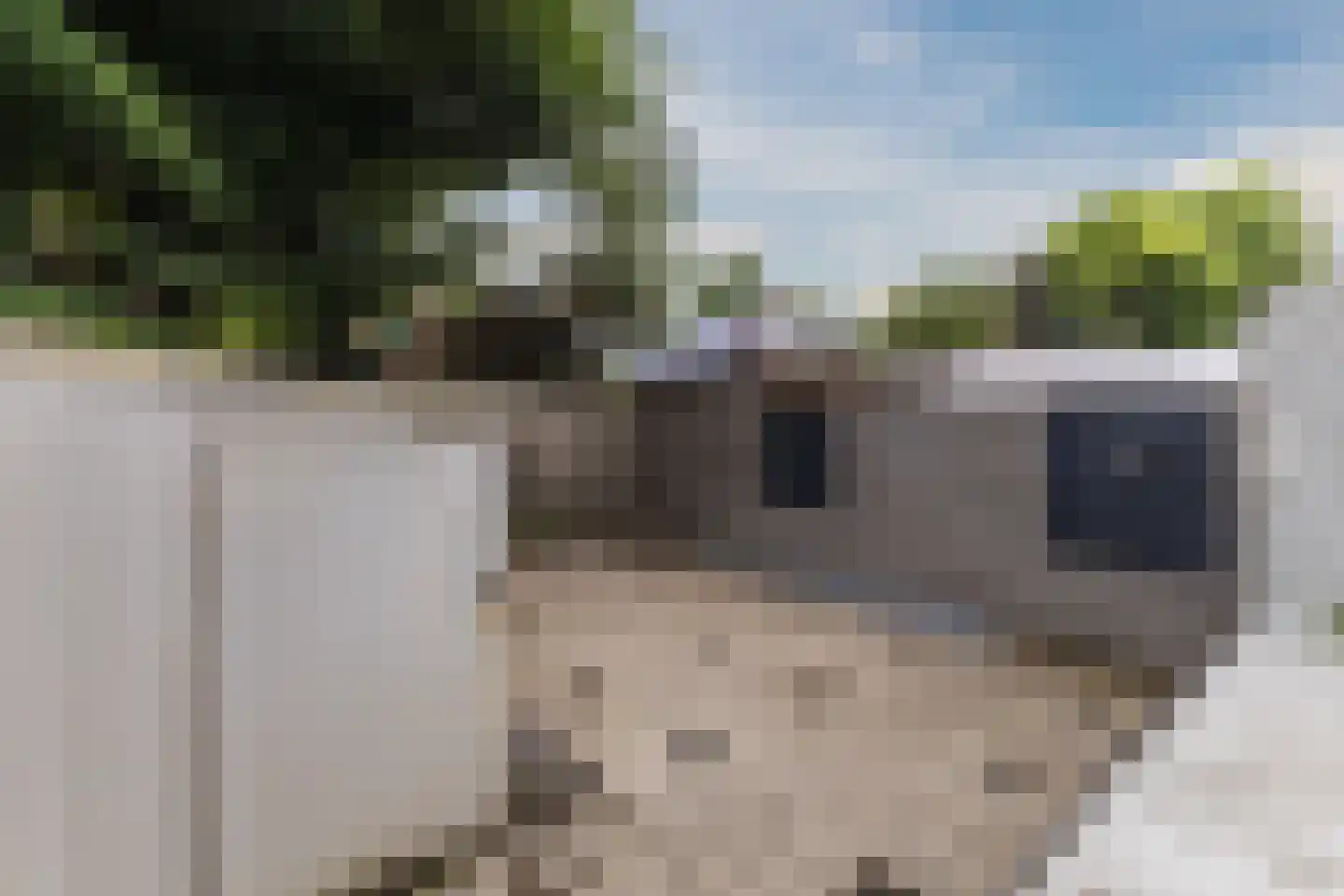 Zegenstraat 101 A Rotterdam thumbnail 21