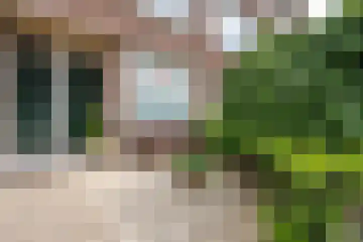Zegenstraat 52 Rotterdam thumbnail 6