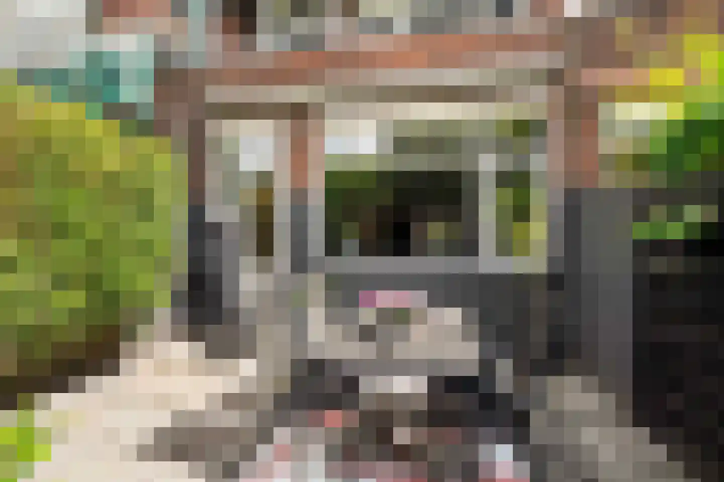 Zegenstraat 55 Rotterdam thumbnail 17