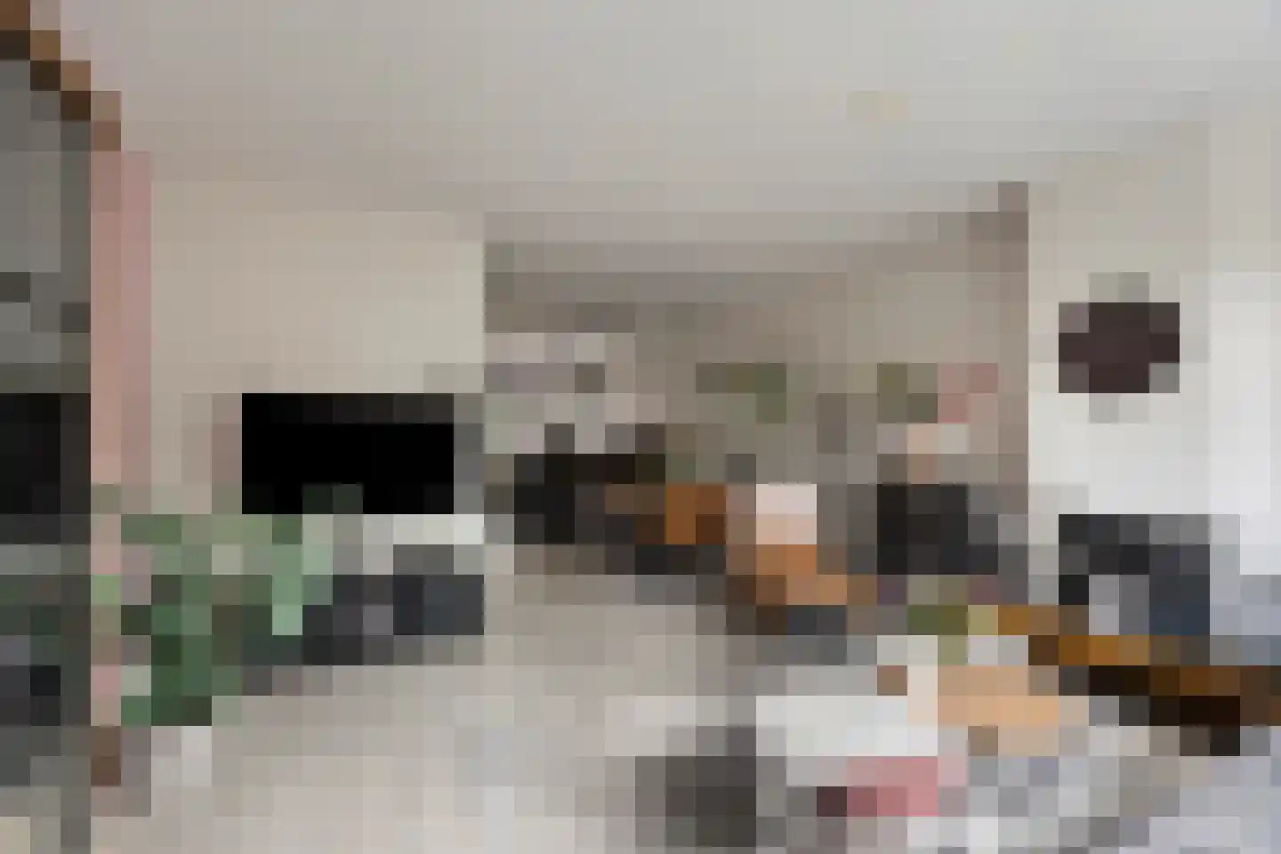 Zegenstraat 55 Rotterdam thumbnail 18