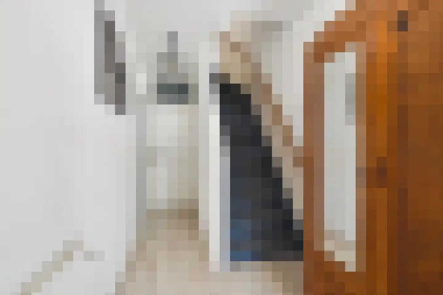 Zegenstraat 55 Rotterdam thumbnail 24