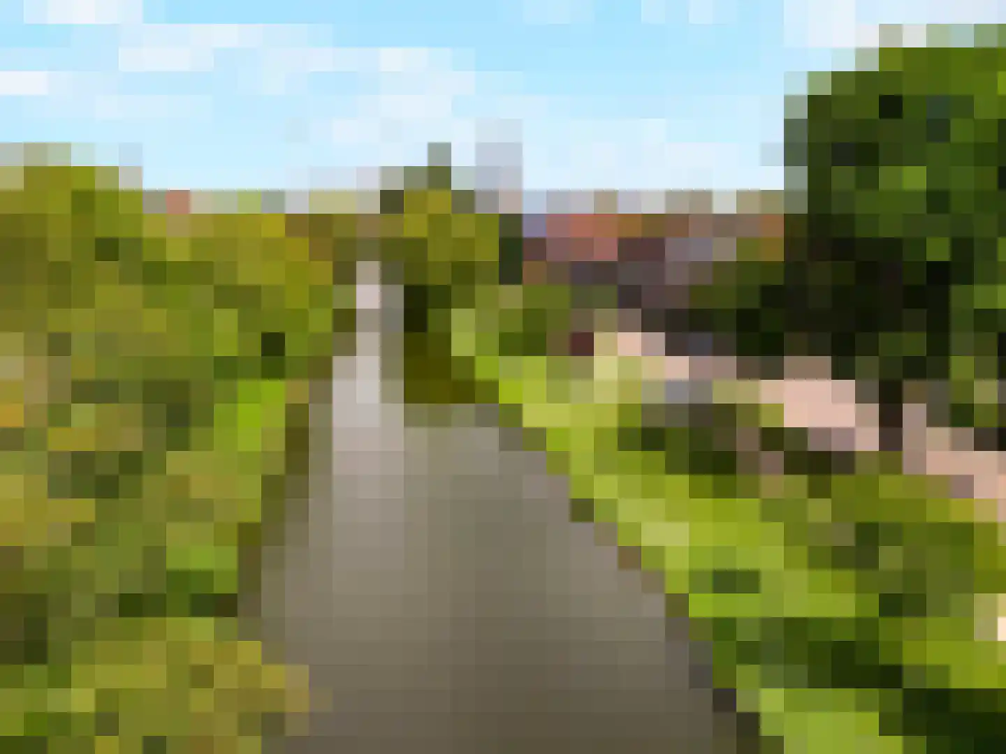 Zegenstraat 55 Rotterdam thumbnail 50