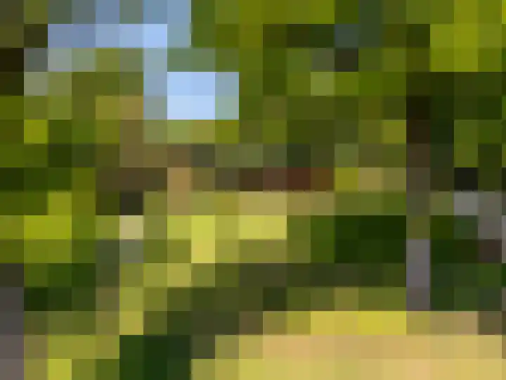 Zegenwerp 10 Sint-Michielsgestel thumbnail 10