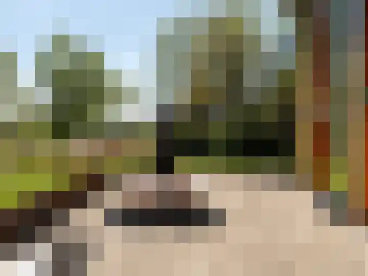 Zegenwerp 10 Sint-Michielsgestel thumbnail 12