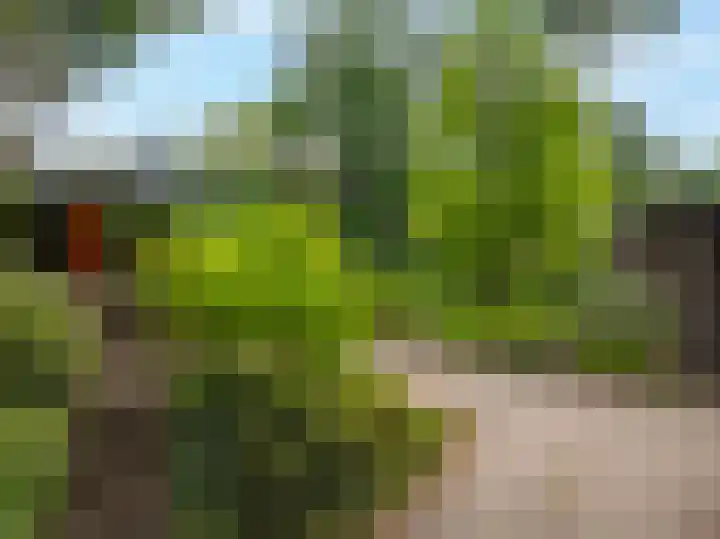 Zegenwerp 10 Sint-Michielsgestel thumbnail 13