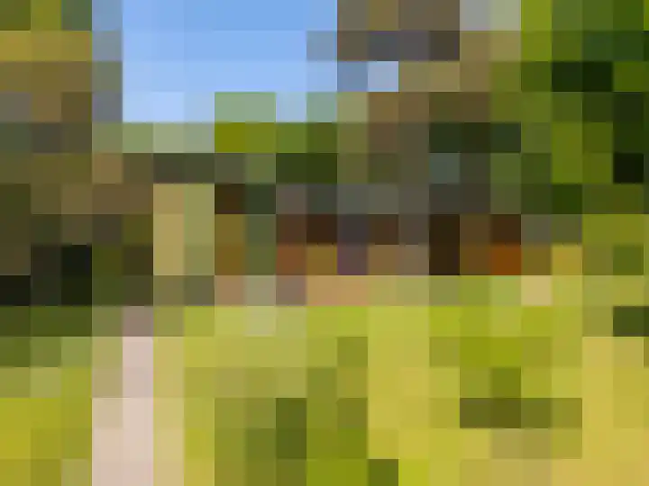 Zegenwerp 10 Sint-Michielsgestel thumbnail 14