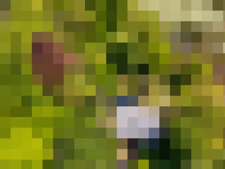 Zegenwerp 10 Sint-Michielsgestel thumbnail 4
