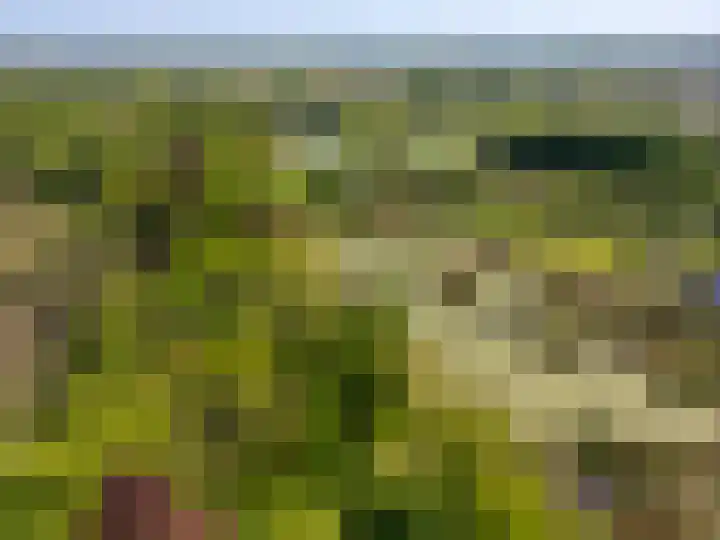 Zegenwerp 10 Sint-Michielsgestel thumbnail 5