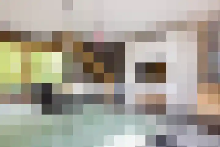 Zegenwerp 10 Sint-Michielsgestel thumbnail 9