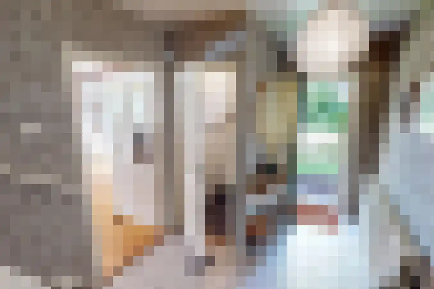 Zeger Davidzonweg 13 Venhuizen thumbnail 11