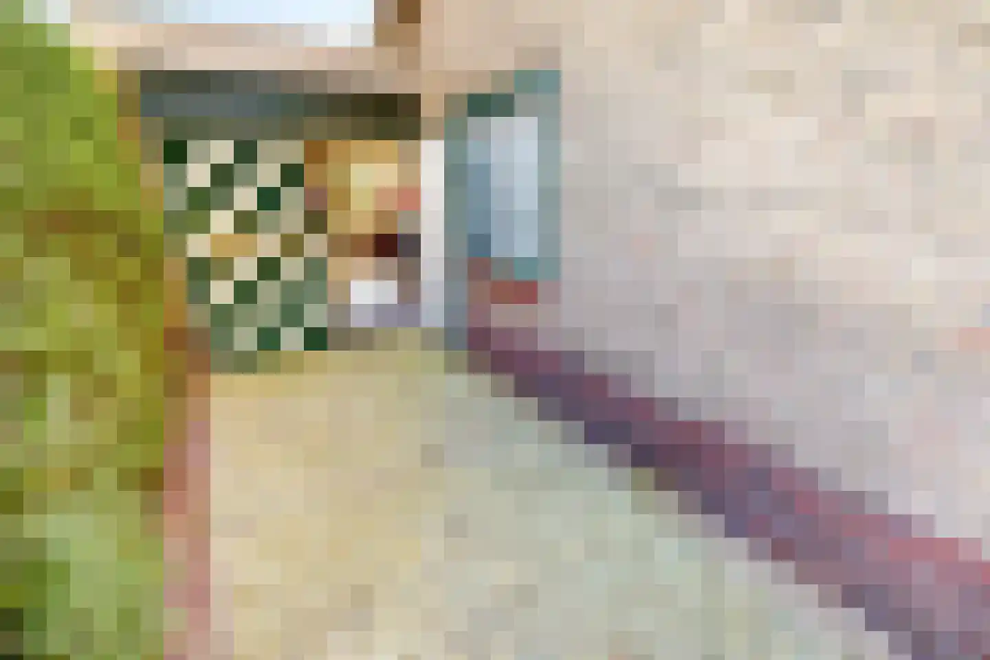 Zeger Davidzonweg 13 Venhuizen thumbnail 39