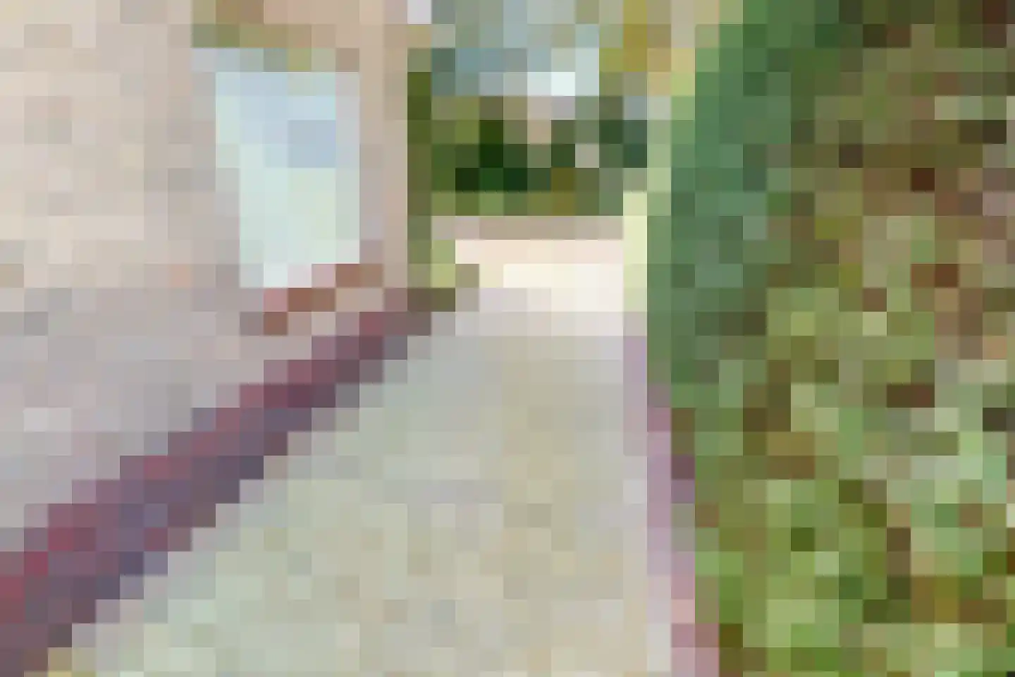 Zeger Davidzonweg 13 Venhuizen thumbnail 40