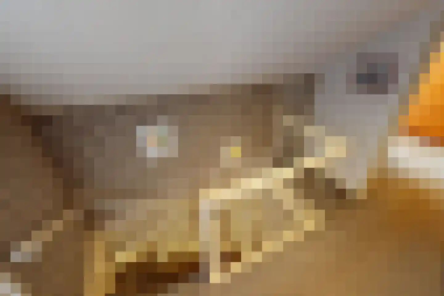Zeger Davidzonweg 13 Venhuizen thumbnail 42