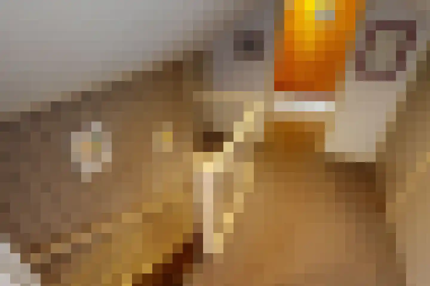 Zeger Davidzonweg 13 Venhuizen thumbnail 46