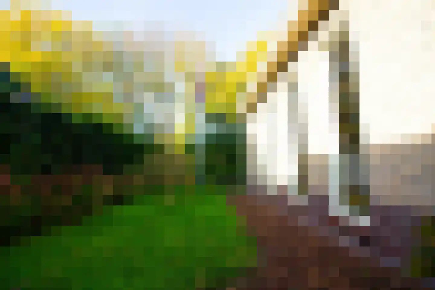 Zeger Davidzonweg 13 Venhuizen thumbnail 57