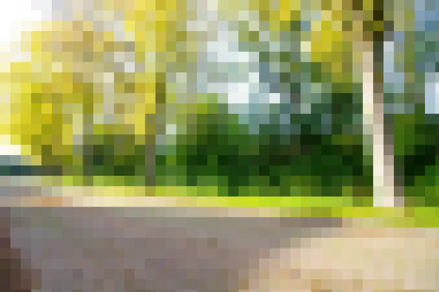 Zeger Davidzonweg 13 Venhuizen thumbnail 6
