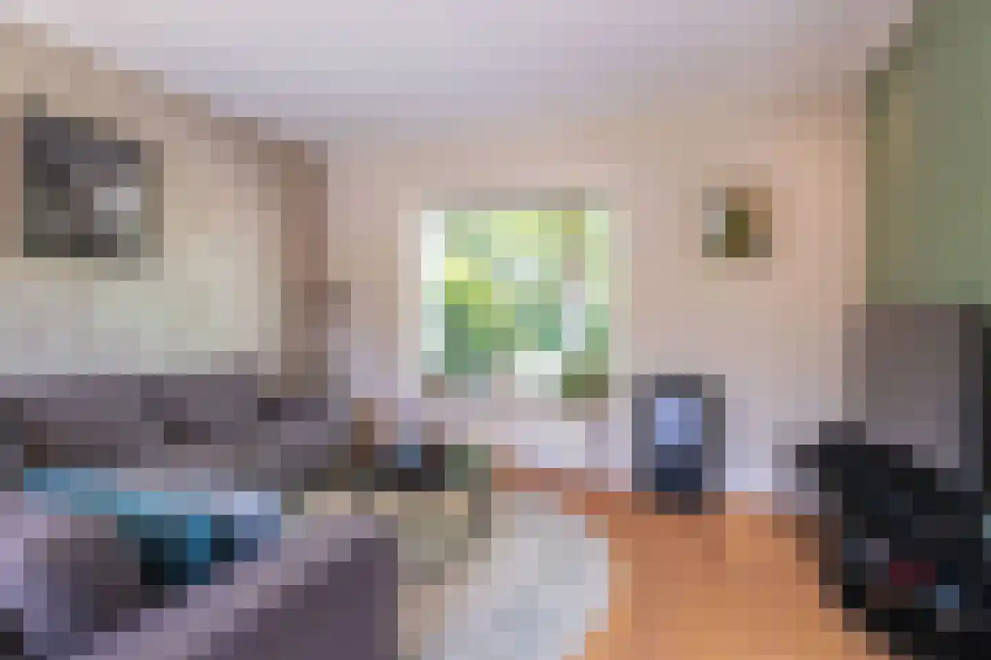 Zeger Davidzonweg 7 Venhuizen thumbnail 11