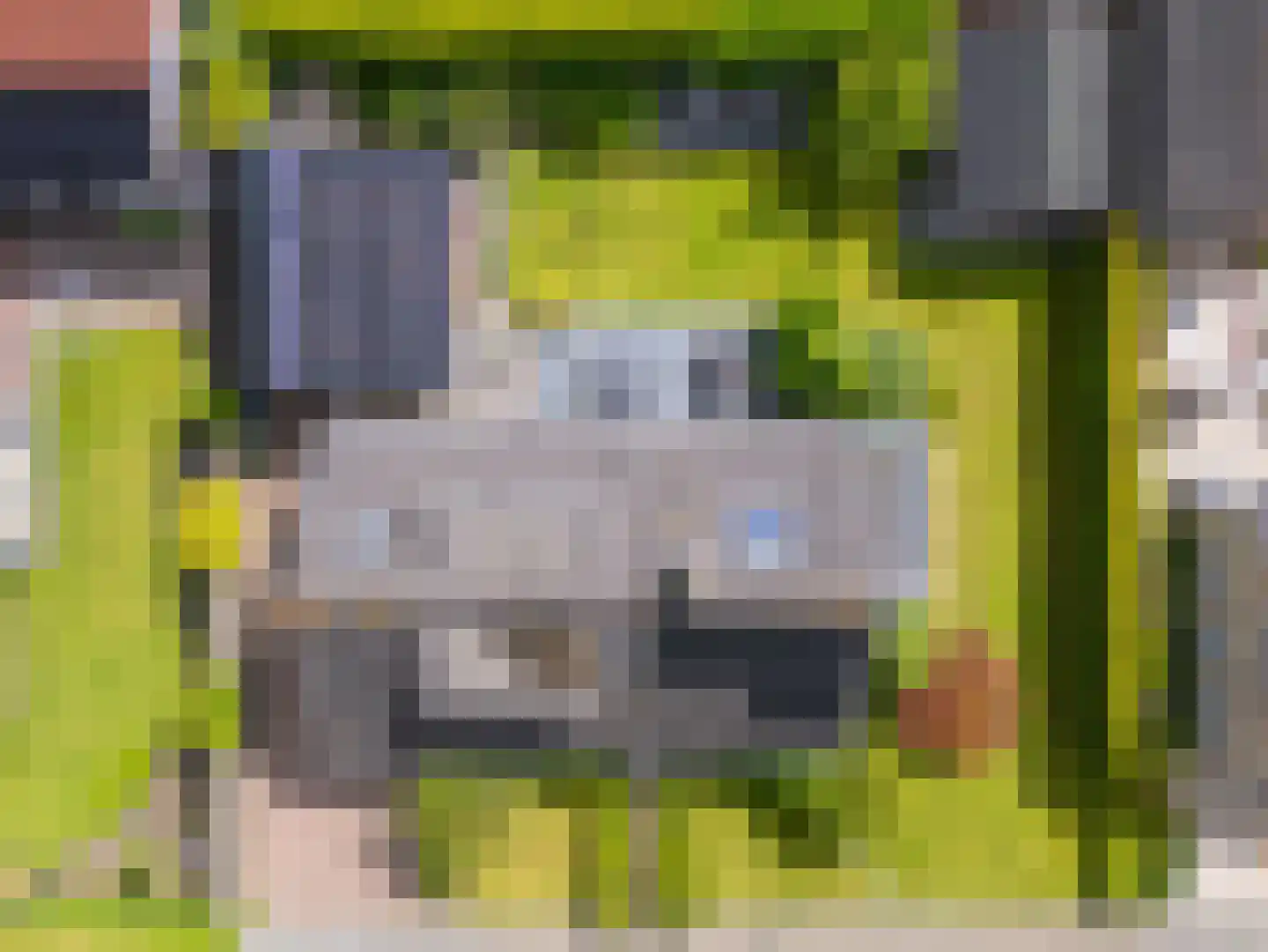 Zeger Davidzonweg 7 Venhuizen thumbnail 5