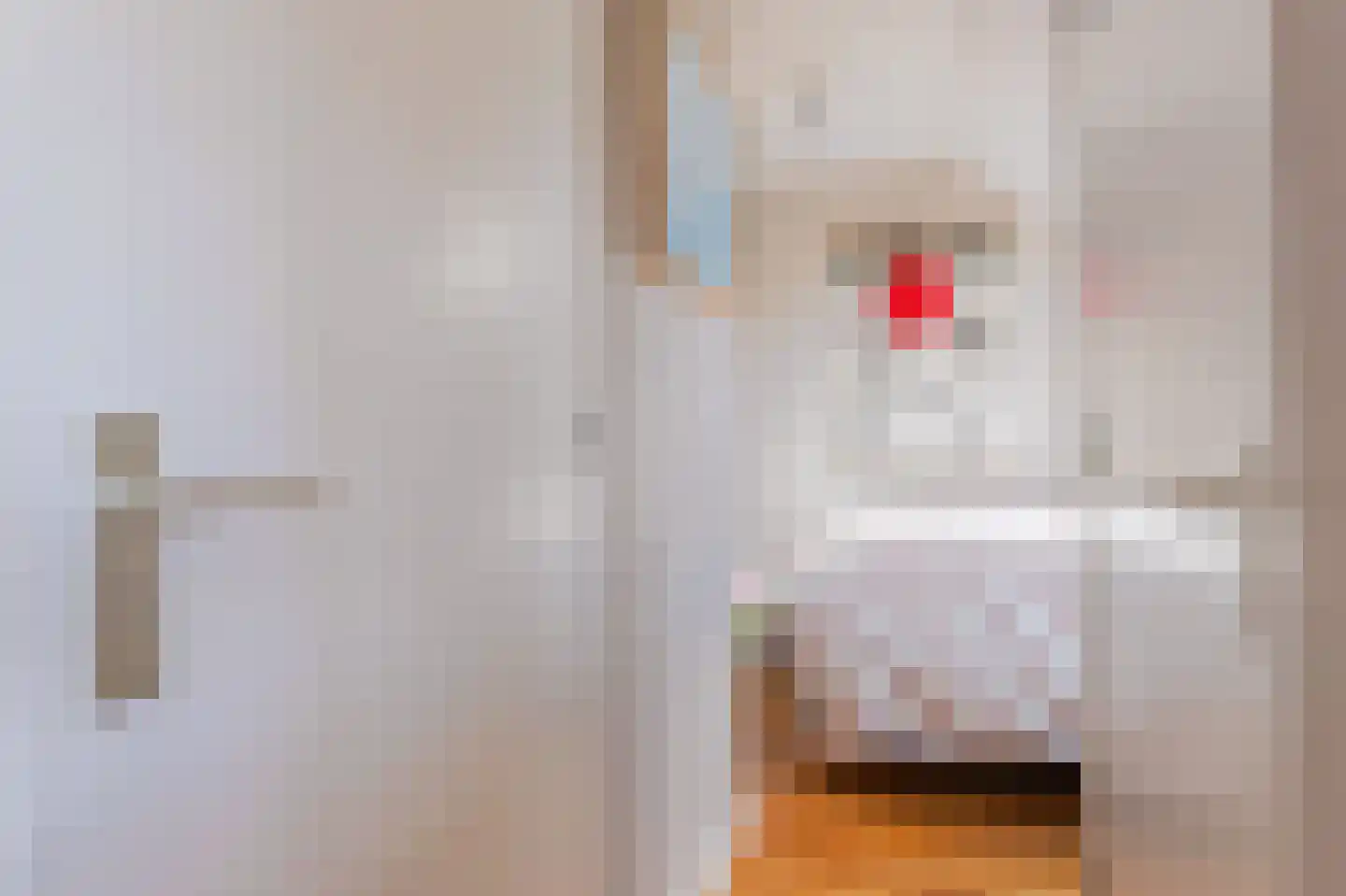 Zeger Davidzonweg 7 Venhuizen thumbnail 51