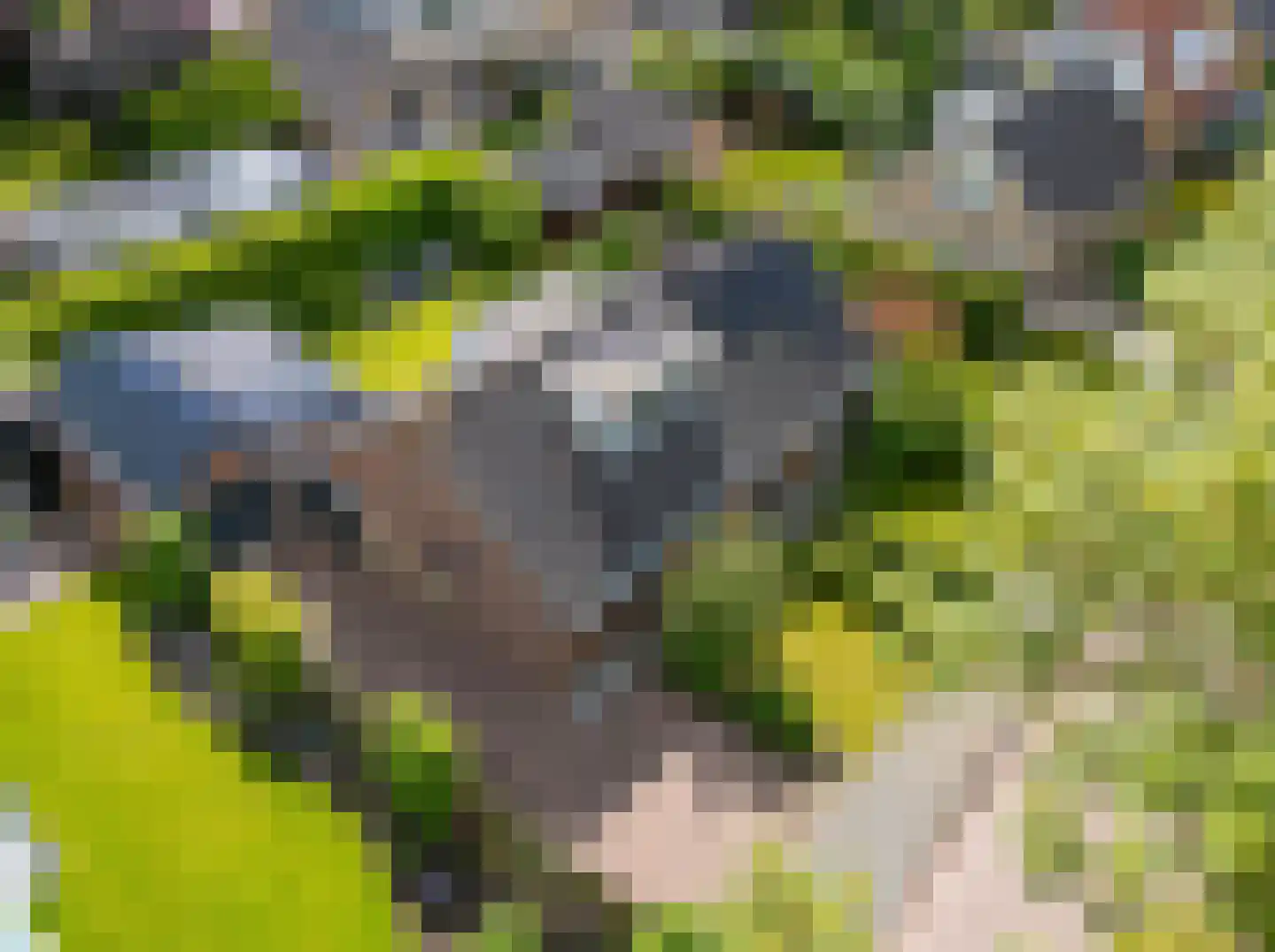 Zeger Davidzonweg 7 Venhuizen thumbnail 70