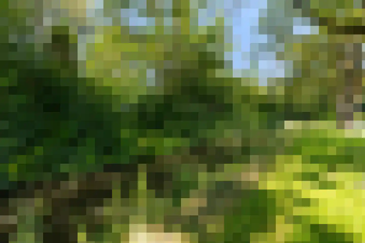 Zeger Davidzonweg 7 Venhuizen thumbnail 76
